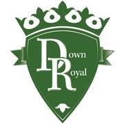 Bar Bistro Down Royal Park Golf Course, Lisburn opening hours