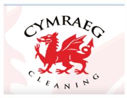 Cymraeg Cleaning, Barry opening hours