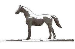 Anchorage Barn Equine Clinic, East Rudham opening hours