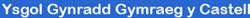 Ysgol Gynradd Gymraeg y Castell, Caerphilly opening hours