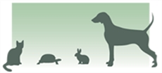 Barrons Court Veterinary Centre in London (West Kensington) - Opening Hours