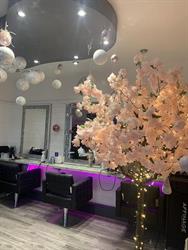 Dena K Hair Design, Nottingham opening hours