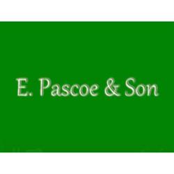 E Pascoe & Son in Gulworthy (Gulworthy) - Opening Hours