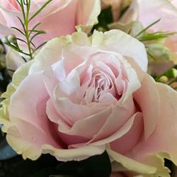Flowers By Yvonne, Dersingham opening hours