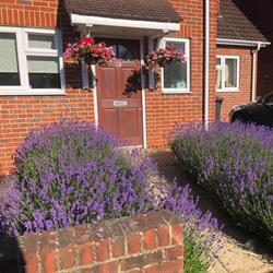 Fresh Ayres Landscapes, Alton opening hours