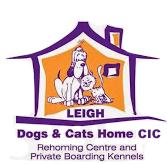 Leigh Dogs & Cats Home, opening hours