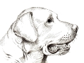 Labrador Lifeline Trust, Bramley opening hours