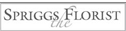 Spriggs Florist PETWORTH, Petworth opening hours