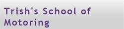 Trish's School of Motoring, Horsham opening hours