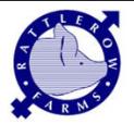 Rattlerow Farms, Stradbroke opening hours