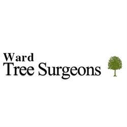 Ward Tree Surgeons Ltd, Weston-super-mare opening hours