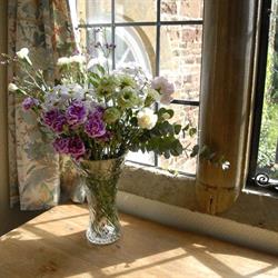 Wardington House, opening hours