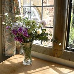 Wardington House, opening hours
