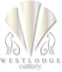 Westlodge Cattery in Abington (Great Abington) - Opening Hours
