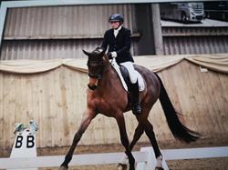Weston Stud, Knaptoft opening hours