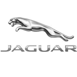 Hendy Jaguar, Christchurch opening hours