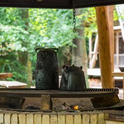 Wilderness Wood, Hadlow Down opening hours
