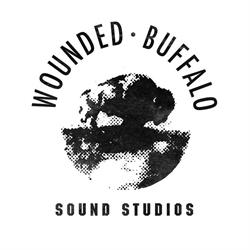 Wounded Buffalo Sound Studios in Bristol (Redland) - Opening Hours