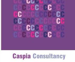 Caspia Consultancy Ltd in London (Westminster) - Opening Hours