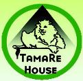 TamaRe House Publishers in London (Brixton) - Opening Hours