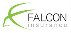 Falcon Underwriting Ltd, Rowley Regis opening hours