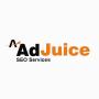 AdJuice SEO Services, Camberley opening hours