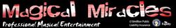 Silly Scott Family Entertainer in Portsmouth (Hampshire) - Opening Hours