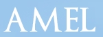 Amel Uk Ltd, Radcliffe opening hours