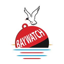 Baywatch on the Beach, Ryde opening hours