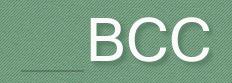 BCC (PROPERTIES) LIMITED, Glasgow opening hours