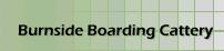 Burnside Boarding Cattery, Newburgh opening hours