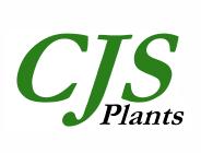 Cjs Plants in London (Eltham) - Opening Hours