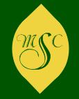 Our Lady Of Mount Carmel R C Primary School, Doncaster opening hours