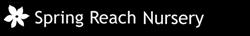 Spring Reach Nursery, Ockham opening hours
