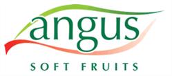Angus Soft Fruits Limited, Salford Priors opening hours