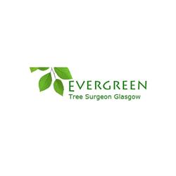 Evergreen Tree Surgeon Glasgow, opening hours