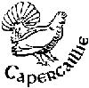 Capercaillie Travel Ltd, Coaltown of Wemyss opening hours