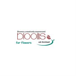 Blooms (UK) Ltd, Glasgow opening hours
