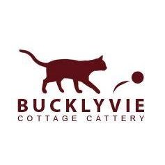 Bucklyvie Cattery in Cowdenbeath (Fordell) - Opening Hours