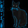BLK-CAT Website Development, Exeter opening hours