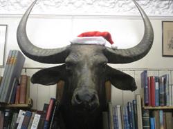 West Port Books in Edinburgh (West Port) - Opening Hours