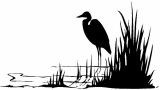 Reeds from Seeds, St Asaph opening hours