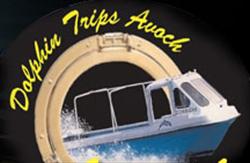 Dolphin Trips Avoch, opening hours