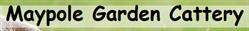 Maypole Garden Cattery, Orpington opening hours