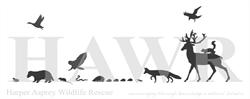 Harper Asprey Wildlife Rescue, Windlesham opening hours