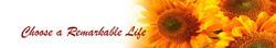 New Perspectives Counselling, Weston-super-mare opening hours