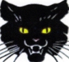 Black Cat Business Services (Cables) Ltd, Holmer Green opening hours