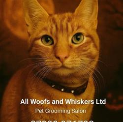 All Woofs n Whiskers in Stoke-on-Trent (Longton) - Opening Hours