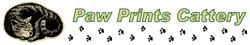 Paw Prints Cattery, Bridgwater opening hours