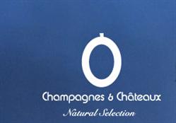 Champagnes & Chateaux Ltd in London (Battersea) - Opening Hours